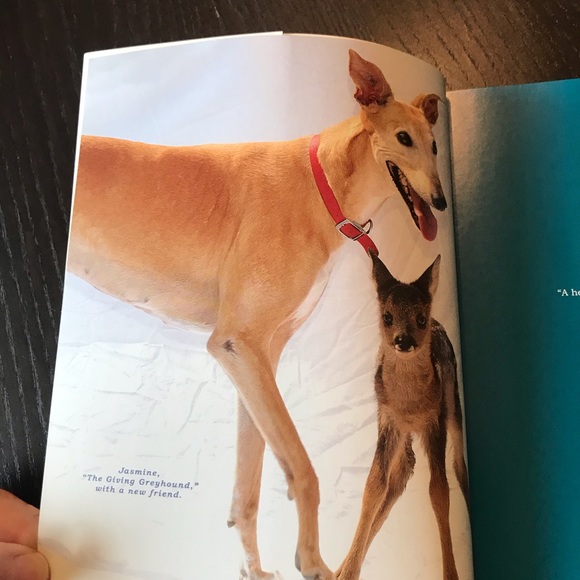 Book “ Unlikely Heroes” by Jennifer Holland - Picture 9 of 10